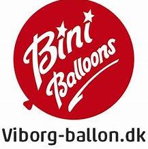 Viborg Ballon A/S sponsorere Natteravnene